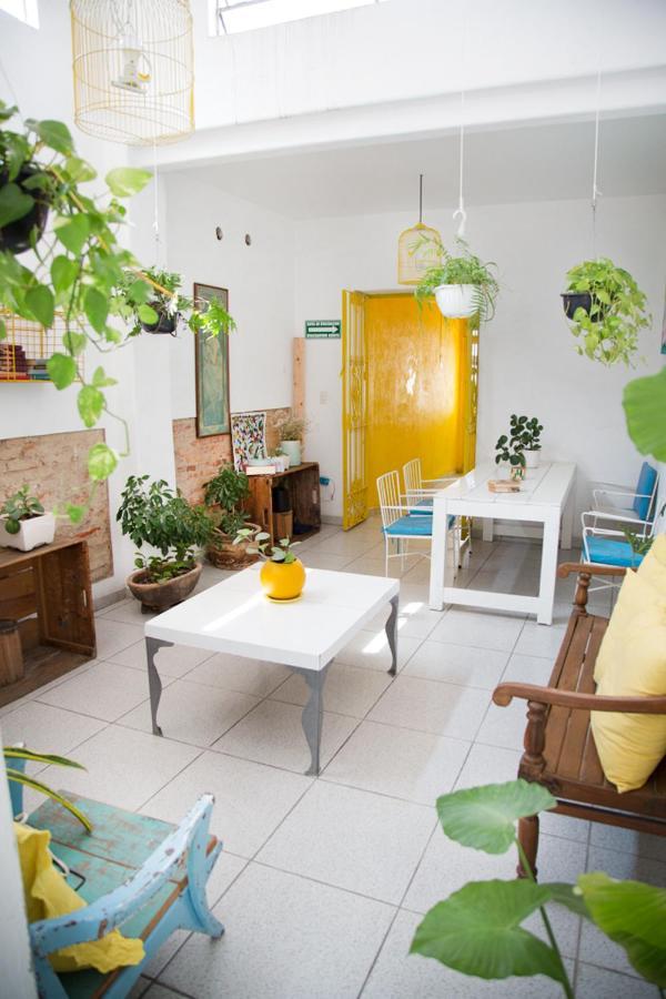 Casa Canario Hostel Guadalajara Ngoại thất bức ảnh