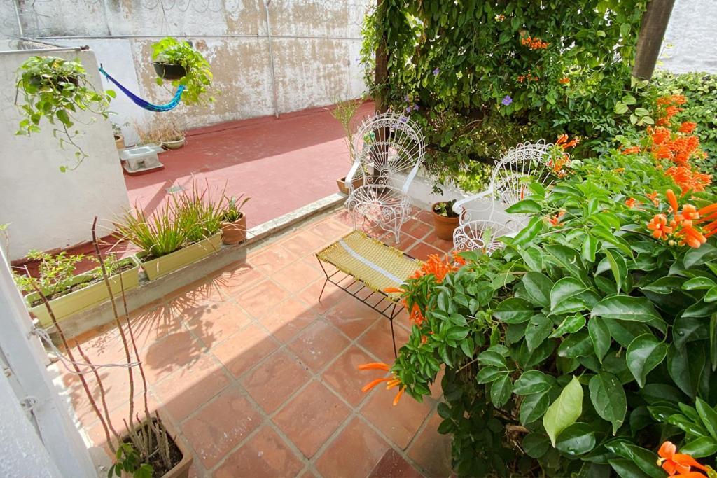 Casa Canario Hostel Guadalajara Ngoại thất bức ảnh