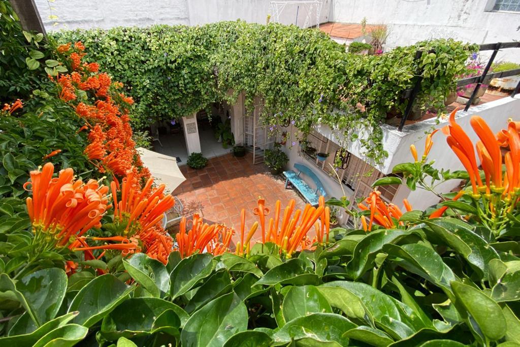 Casa Canario Hostel Guadalajara Ngoại thất bức ảnh