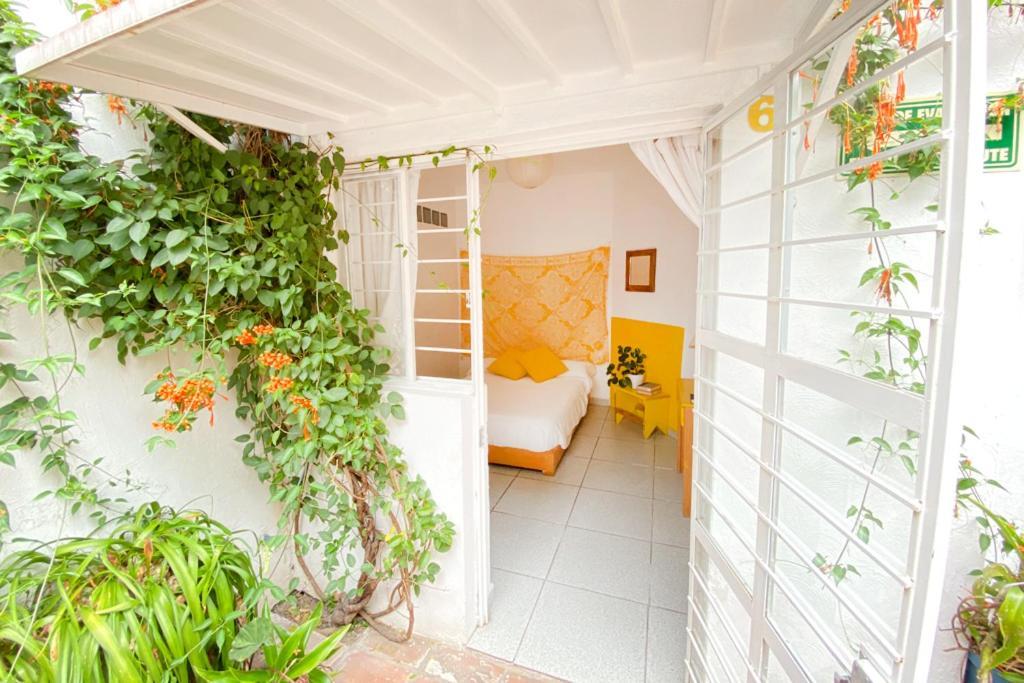 Casa Canario Hostel Guadalajara Ngoại thất bức ảnh